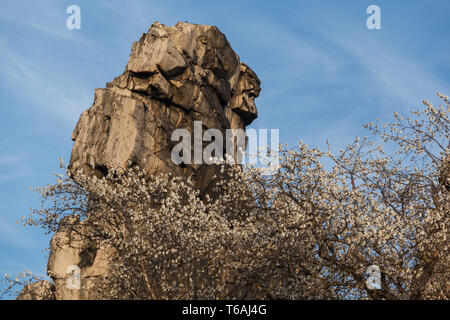 rock formation Teufelsmauer, Harz Mountains, Germany Stock Photo