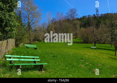 Wooden green bench under trees in the park Stock Photo