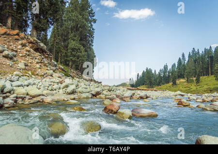 A crystal clear stream with blue waters flowing through a wide mountain valley in Doodhpathri, Kashmir Stock Photo