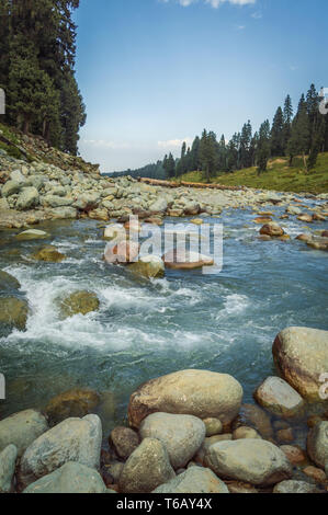 A crystal clear stream with blue waters  flowing through a wide mountain valley in Doodhpathri, Kashmir. Large boulders in a fast moving stream Stock Photo