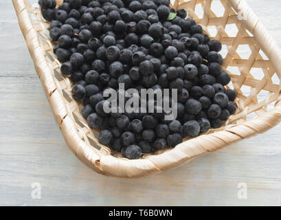 handful of fresh wild blueberries lies in wicker basket Stock Photo