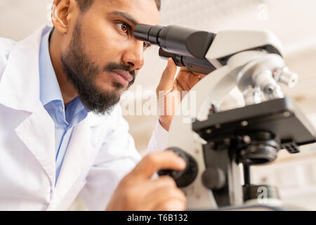 Busy medical scientist working in laboratory Stock Photo