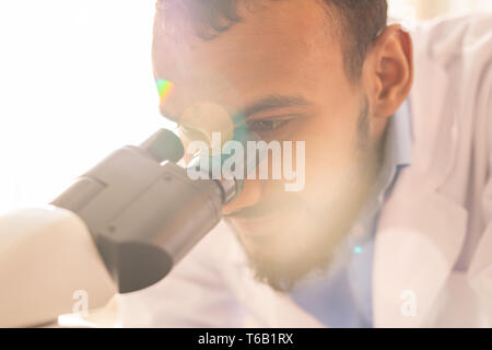 Arabian scientist studying bacteria Stock Photo