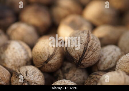 Walnuts in the peel close-up. Stock Photo