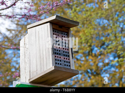 'Bee condo' erected in a park for Blue Orchard Mason bee.  Man made mason bee house, homes or habitat. Stock Photo