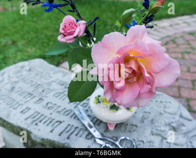 Close up still life view of full bloom pink and yellow rose with rose bud, blue salvia in vintage ceramic vase on stone bench with scissors Stock Photo
