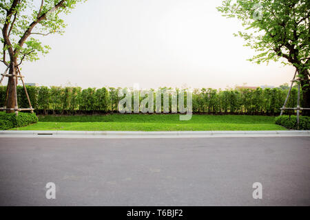 Trees on lawn in the park with a white sky background. Stock Photo