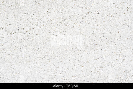 High detailed stone, fossils background. Stock Photo