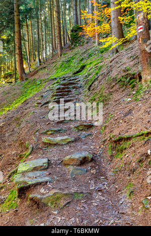 Stone staircase leading up in park Stock Photo
