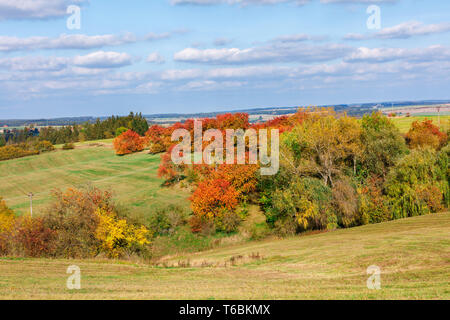 Autumn landscape with fall colored trees Stock Photo