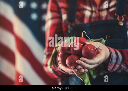 American female farmer holding bunch of harvested radishes, close up of hands