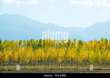 Asien, Türkei, Provinz Burdur, Gölhisar, Landschaft im Herbst Stock Photo
