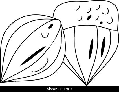 Nuts natural food cartoon in black and white Stock Vector