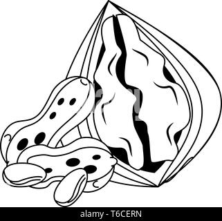 Nuts natural food cartoon in black and white Stock Vector