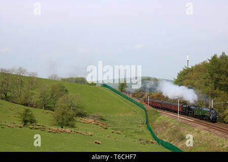 RYTC Great Britain steam hauled railway tour on West Coast Main Line near Grayrigg in Cumbria 30th April 2019 double-headed by locos 60009 and 44871. Stock Photo