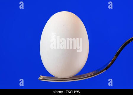 White Egg On Fork With Blue Display Background Stock Photo