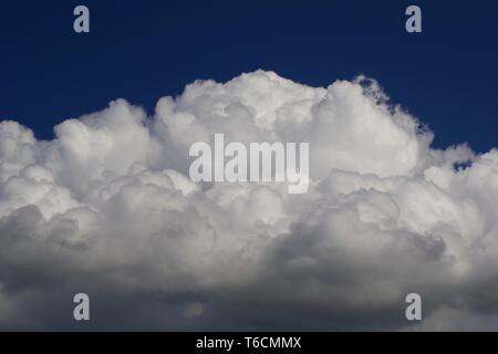 Large Cumulus Mediocris Cloud in a Summer Sky. St Monans, Fife, Scotland, UK. Stock Photo