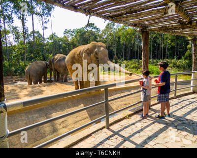 PHU QUOC, VIETNAM - FEBRUARY 12, 2018: Kids feeding Asian elephant in the Vinpearl Safari zoo park. Stock Photo