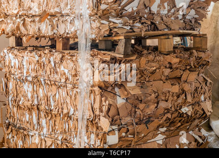 Stack of pressed corrugated cardboards ready for recycling Stock Photo