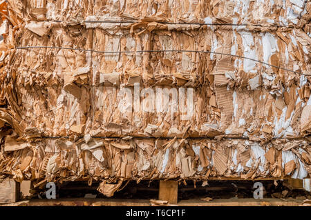 Stack of pressed corrugated cardboards ready for recycling Stock Photo