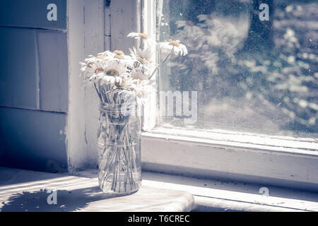 daisies in a bouquet in a vase on the table with window, filter Stock Photo