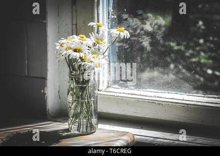 daisies in a bouquet in a vase on the table with window, filter Stock Photo