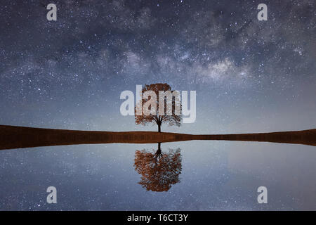Milky Way over a lonely single tree Stock Photo