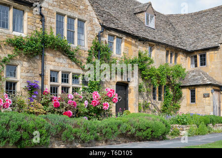 Tree peony flowers and lavender in front of a cotswold stone cottage in Broadway, Cotswolds, Worcestershire, England Stock Photo