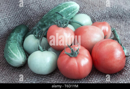 Cucumbers, ripe and green tomatoes on a linen fabric Stock Photo