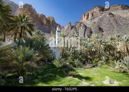 Oman, Dakhiliyah Governate, Jebel Hajar, Balad Sayt. A mosque in the remote village of Balat Sayt surrounded by green terraces and palm trees Stock Photo