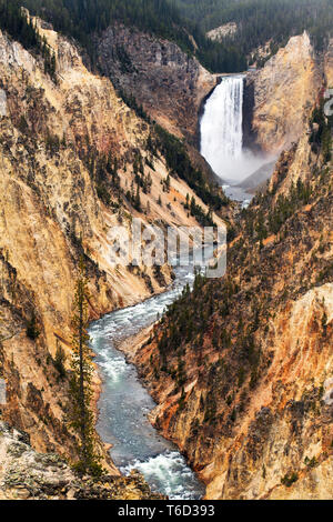 Lower Yellowstone falls, Yellowstone National Park, Wyoming, USA Stock Photo