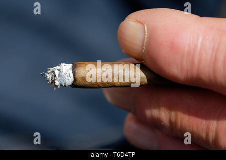 man smoking  cigarillo Stock Photo