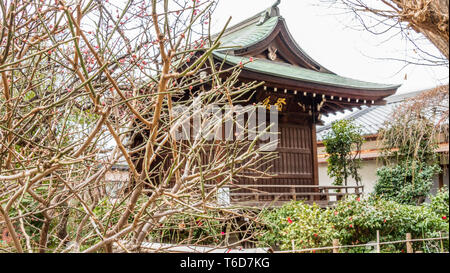 TOKYO, JAPAN - FEBRUARY 8, 2019: Hanazono Inari Shrine at Ueno Park. Dedicated to the rice kami around Japan Stock Photo