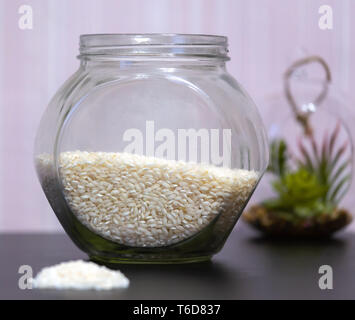 Healthy eating rice groats in a glass jar standing on a table with a green plant on the background Stock Photo