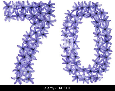 Numeral 70, seventy, from natural flowers of hyacinth, isolated on white background Stock Photo