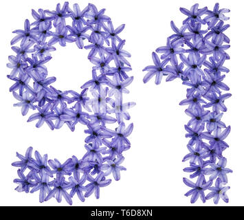 Numeral 91, ninety one, from natural flowers of hyacinth, isolated on white background Stock Photo