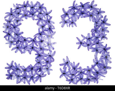 Numeral 93, ninety three, from natural flowers of hyacinth, isolated on white background Stock Photo