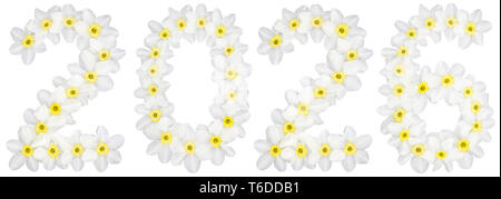 Inscription 2026, from natural white flowers of Daffodil (narcissus), isolated on white background Stock Photo