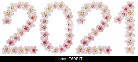 Inscription 2021, from natural pink flowers of peach tree, isolated on white background Stock Photo