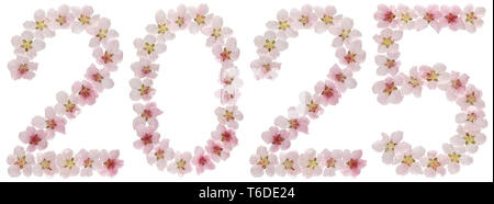 Inscription 2025, from natural pink flowers of peach tree, isolated on white background Stock Photo