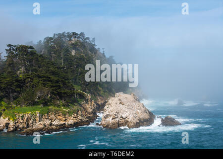 The rugged, misty shoreline, cliffs, and cypress-covered peaks of Point Lobos near Carmel, California Stock Photo
