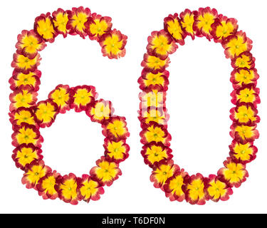 Porno ogil ona anal Faqat afrikalik kokraklar