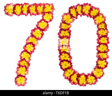 Numeral 70, seventy, from natural flowers of primula, isolated on white background Stock Photo