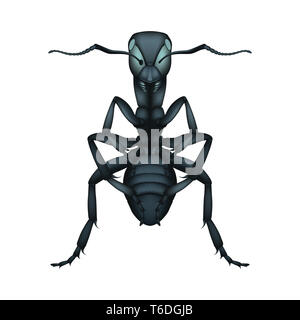 Realistic detailed ant illustration style – Corporation office worker metaphor - isolated on the plain white background Stock Photo