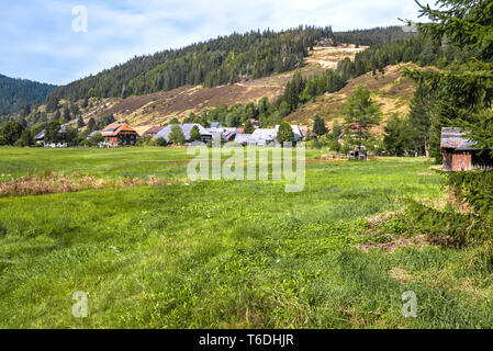 landscape of the Black Forest with traditional hip roofed houses, health spa Menzenschwand, Germany, Black Forest houses in the borough of St. Blasien Stock Photo