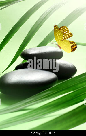 Butterfly, Balanced Stones. Palm Leaf. Zen and Spa Concept Stock Photo