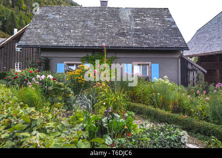 cottage garden and countryhouse in the Black Forest, village Menzenschwand, Germany Stock Photo