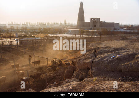 Turpan, Xinjiang, China : Shepherds take a flock of sheep at sunset, past the 18th century Emin Minaret mosque. At 44 meters (144 ft) it is the talles Stock Photo