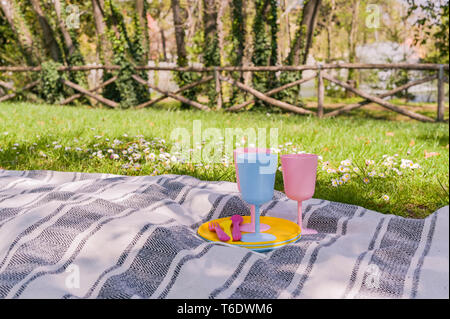 Colored plastic picnic utensils. Sunny day in the park and green grass with flowers Stock Photo