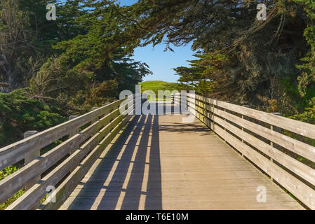 Bridge @ California Highway 1 Stock Photo